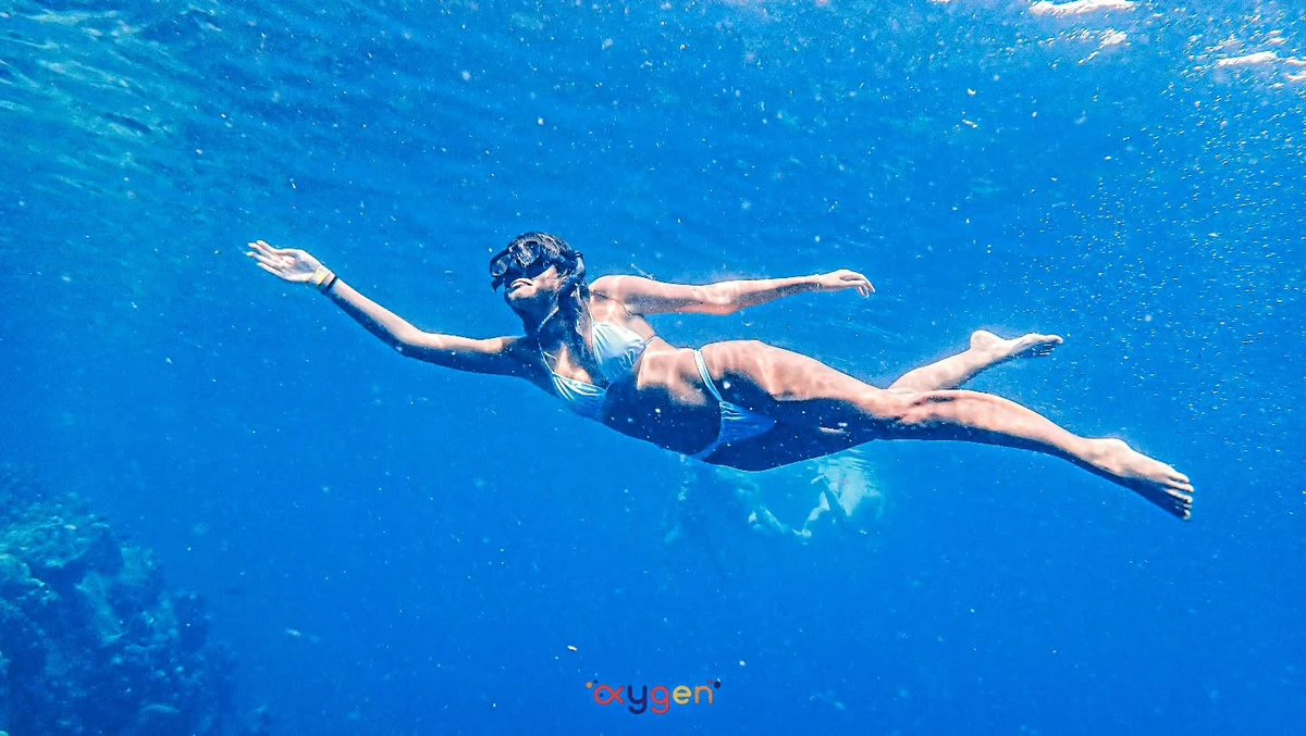 Morning Oxygen Snorkeling Tour