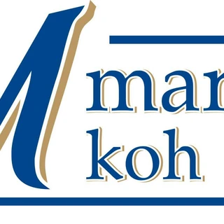 M Marine Speedboat logo