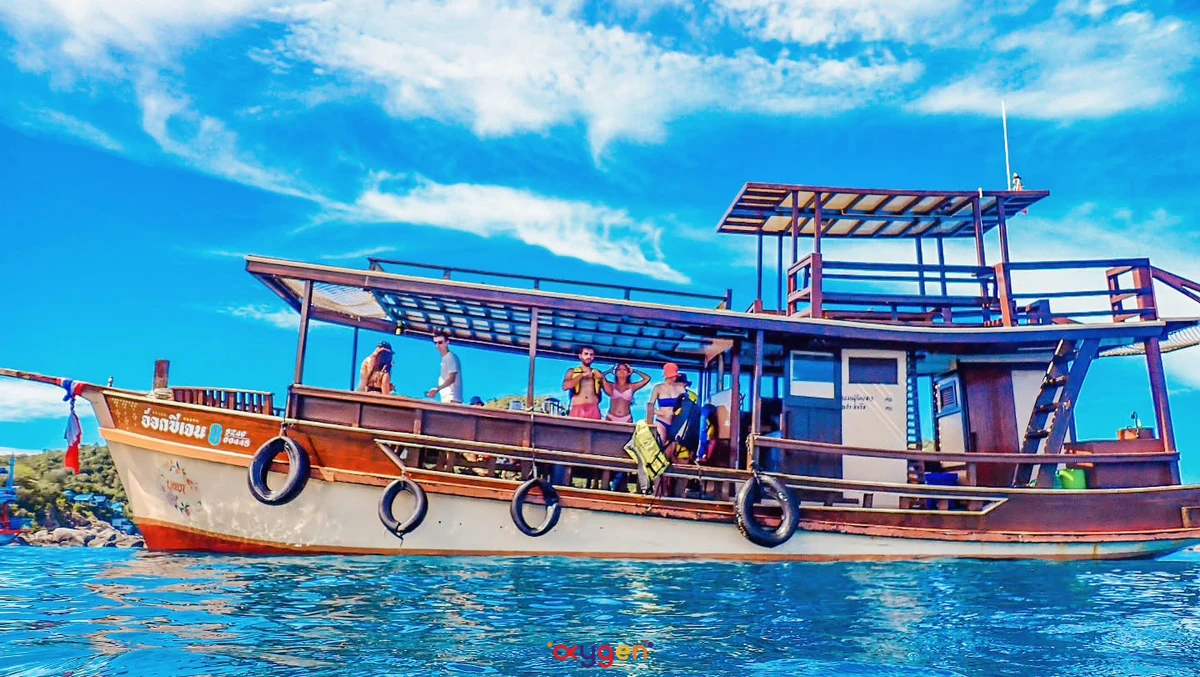 Afternoon Oxygen Snorkeling Tour