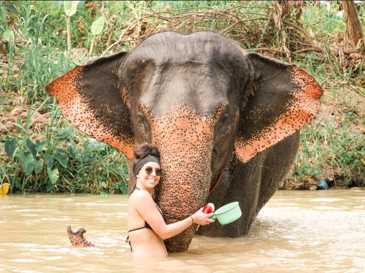 Half-Day Elephant Sanctuary in Krabi - Ethical Wildlife Experience