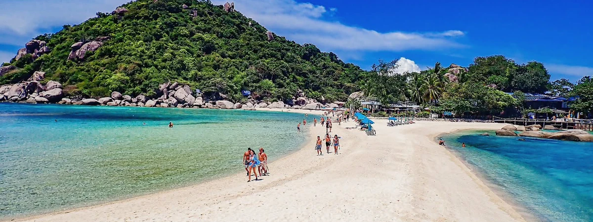Afternoon Oxygen Snorkeling Tour