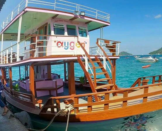 Afternoon Oxygen Snorkeling Tour