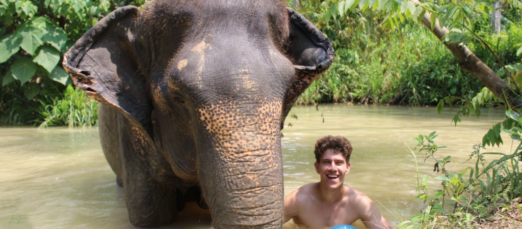 Half-Day Elephant Sanctuary in Krabi - Ethical Wildlife Experience