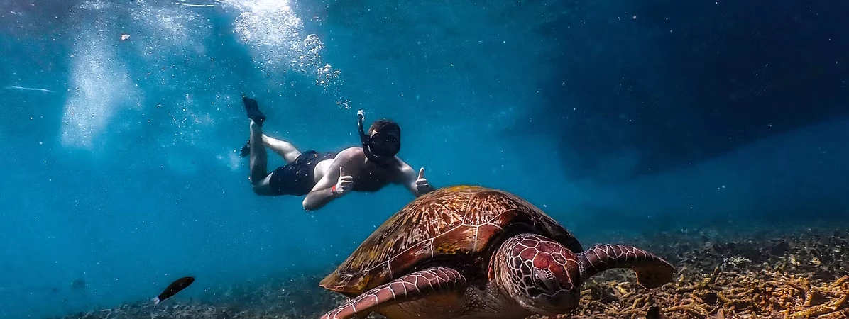 VIP Oxygen Snorkeling Tour