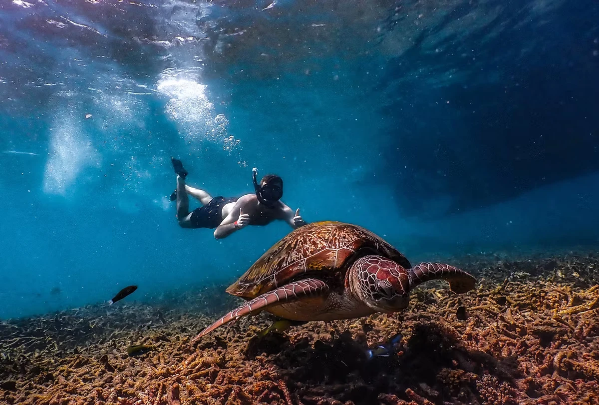 VIP Oxygen Snorkeling Tour