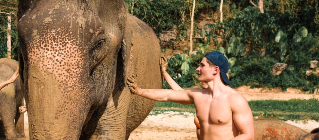 Half-Day Elephant Sanctuary in Krabi - Ethical Wildlife Experience