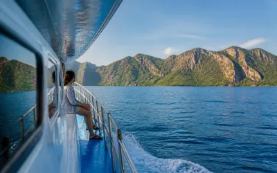 Phi Phi Island to Krabi: Your Complete Ferry Guide 2026